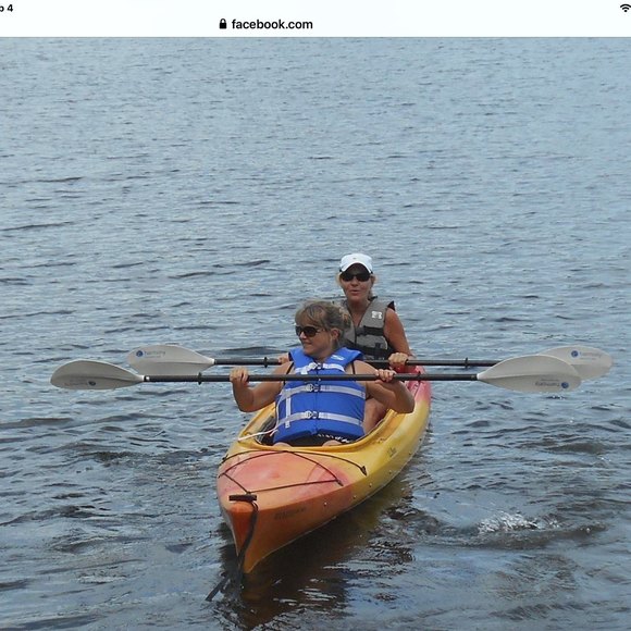 Meet your Posher, Donna - Picture 1 of 1